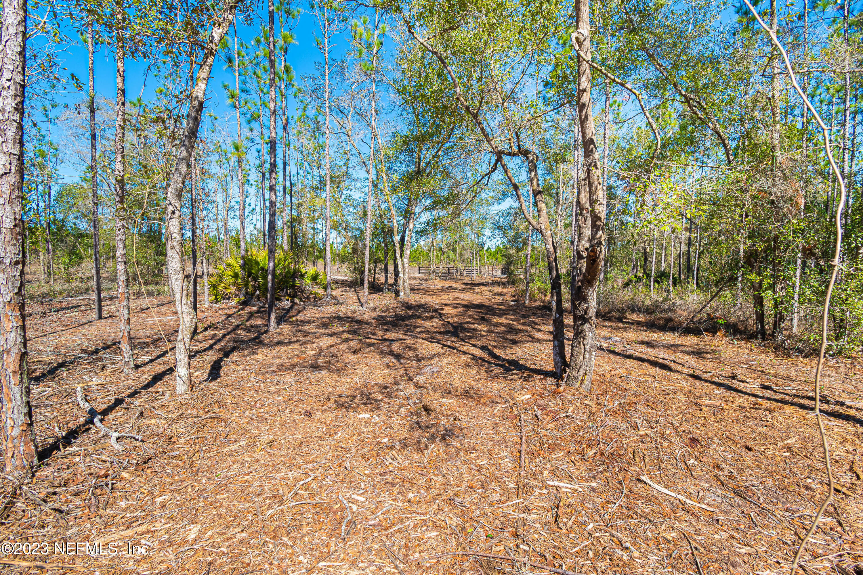 Lot 2 Steel Bridge Road Macclenny, FL 32063 - Photo 7 of 10 untitled-3342