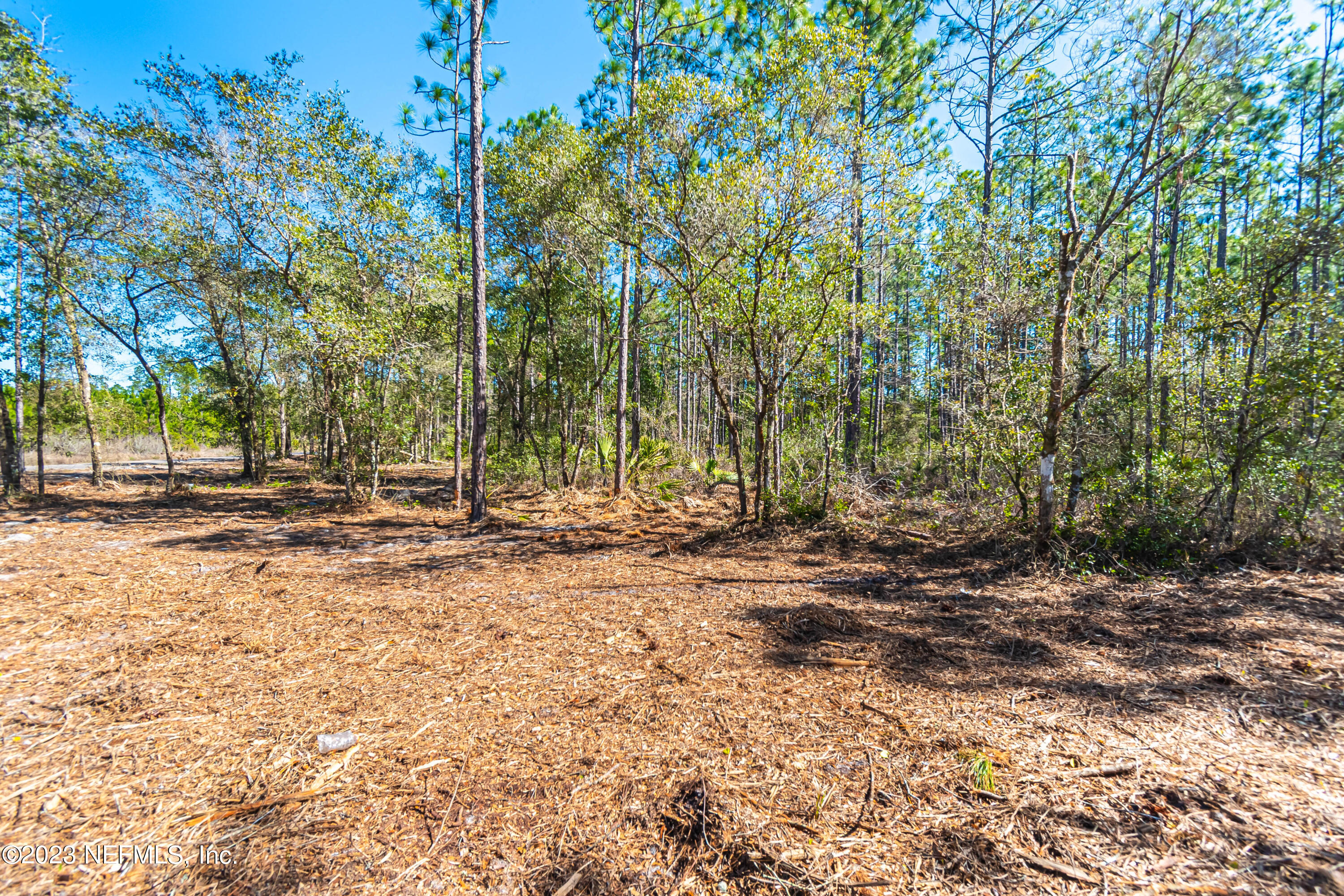 Lot 2 Steel Bridge Road Macclenny, FL 32063 - Photo 8 of 10 untitled-3346