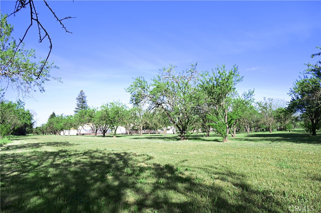 2460 Estes Road Chico, CA 95928 - Photo 32 of 35