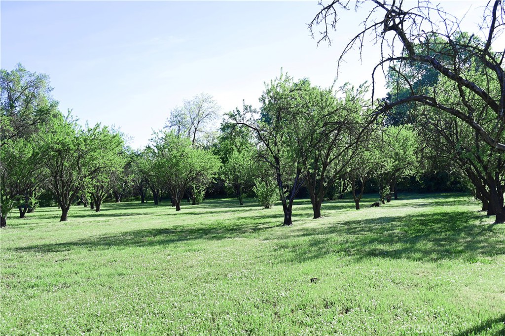 2460 Estes Road Chico, CA 95928 - Photo 34 of 35