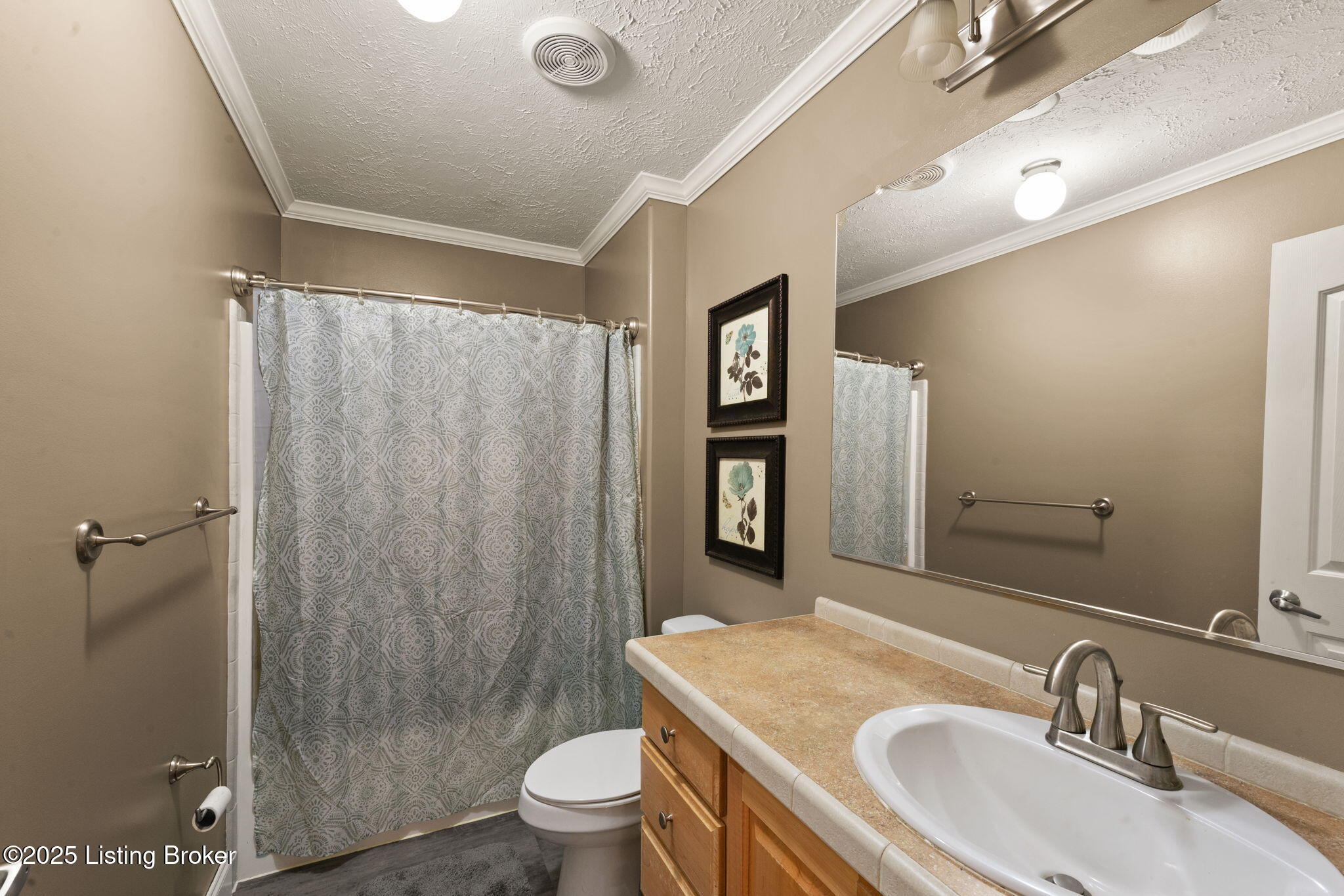 480 Ollie Road Mammoth Cave, KY 42259 - Photo 30 of 52 17-web-or-mls-DSC00079