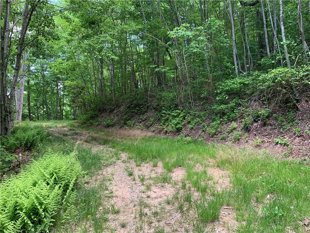 Lot 18 Racoon Cove Road, Unit 18 Bryson City, NC 28713 - Photo 1 of 7 Gallery Image 1