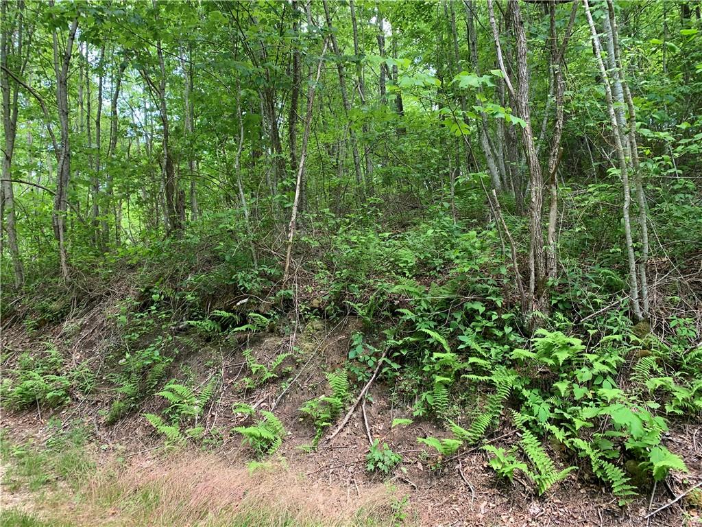 Lot 18 Racoon Cove Road, Unit 18 Bryson City, NC 28713 - Photo 2 of 7 Gallery Image 2
