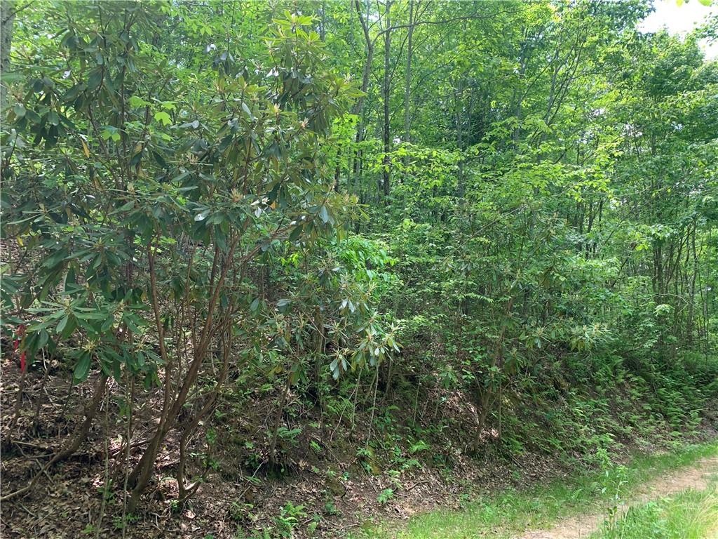 Lot 18 Racoon Cove Road, Unit 18 Bryson City, NC 28713 - Photo 3 of 7 Gallery Image 3