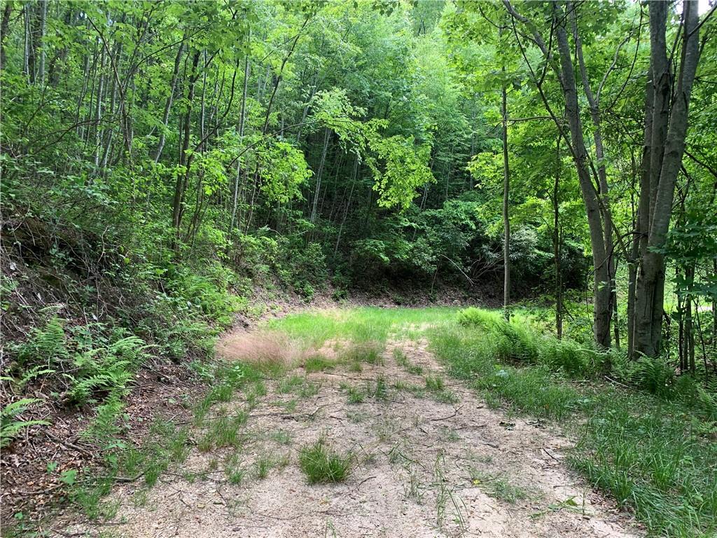 Lot 18 Racoon Cove Road, Unit 18 Bryson City, NC 28713 - Photo 4 of 7 Gallery Image 4