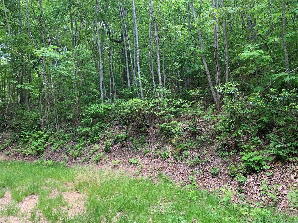 Lot 18 Racoon Cove Road, Unit 18 Bryson City, NC 28713 - Photo 5 of 7 Gallery Image 5