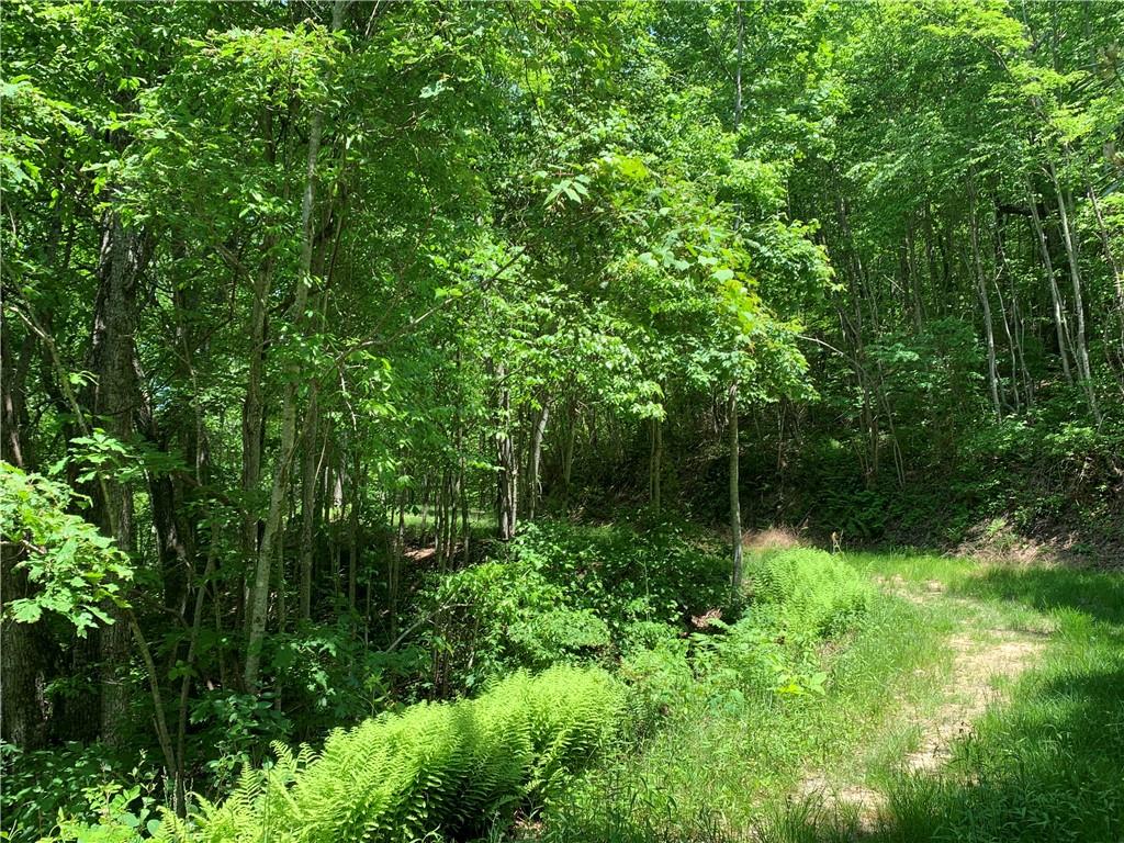 Lot 18 Racoon Cove Road, Unit 18 Bryson City, NC 28713 - Photo 7 of 7 Gallery Image 7