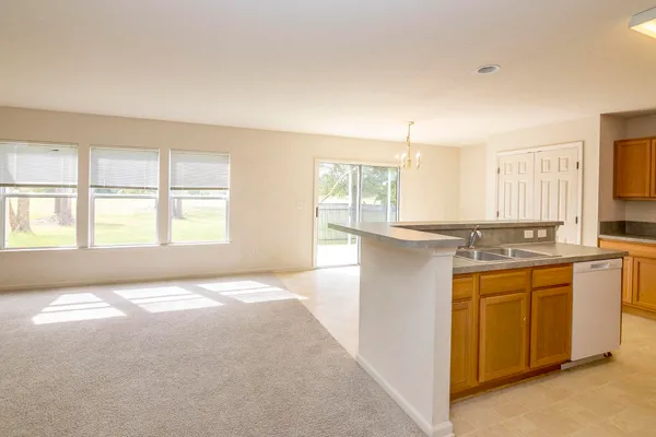 a view of a park with a large trees