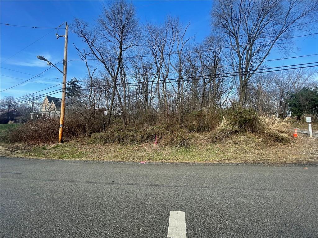 863 Dunster Street Pittsburgh, PA 15226 - Photo 2 of 8 a view of a yard with a snow