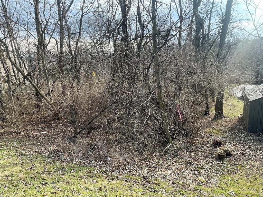863 Dunster Street Pittsburgh, PA 15226 - Photo 4 of 8 a view of a yard in a yard