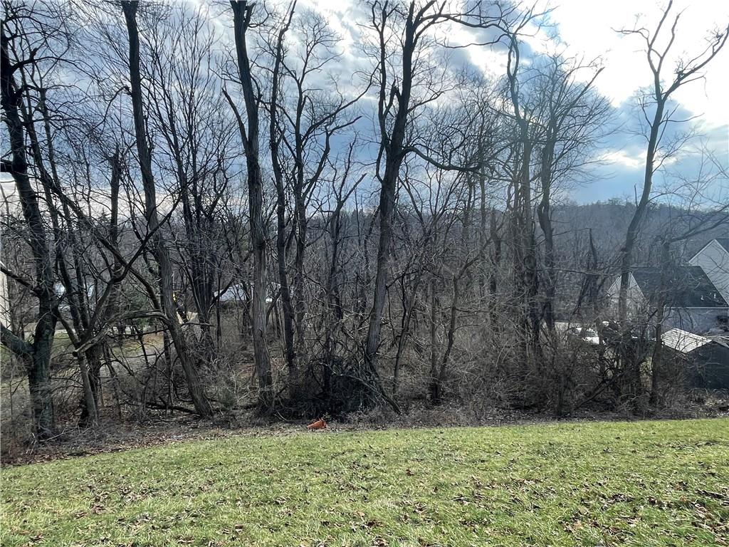 863 Dunster Street Pittsburgh, PA 15226 - Photo 5 of 8 a view of a yard