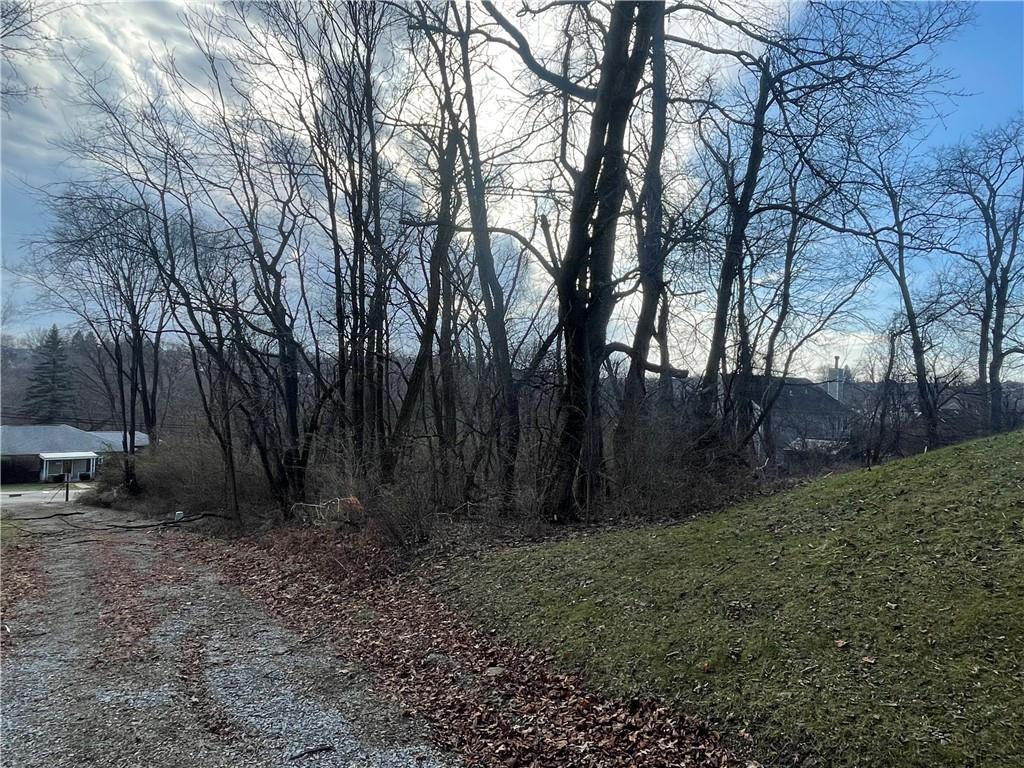 863 Dunster Street Pittsburgh, PA 15226 - Photo 6 of 8 a view of backyard with green space