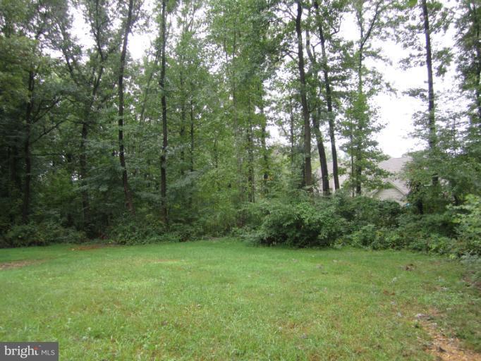 96 Wood Chip Road Elkton, MD 21921 - Photo 36 of 36 Exterior (Rear)