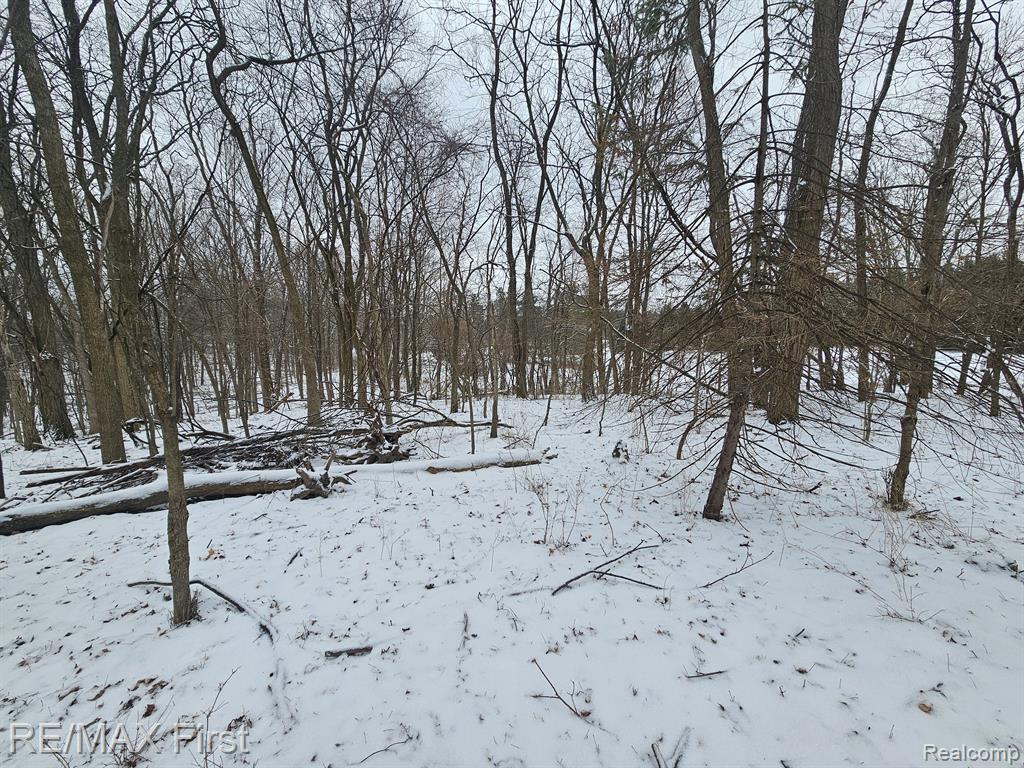 0 Dean Road Fenton, MI 48430 - Photo 8 of 26