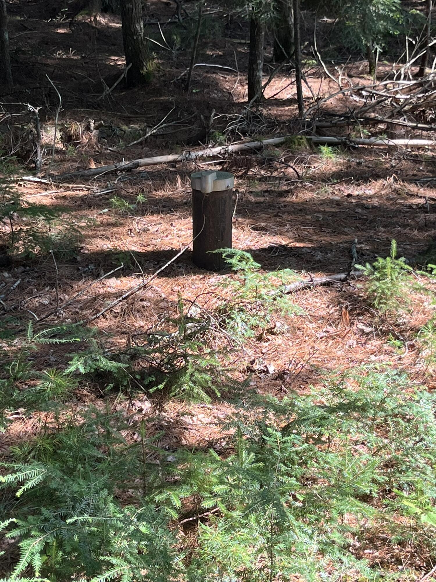Lot 3 Peaceful Point Road Ellsworth, ME 04605 - Photo 11 of 12 E0D1E1B0-8E96-471E-AD47-5C6818F3ED62_1_1