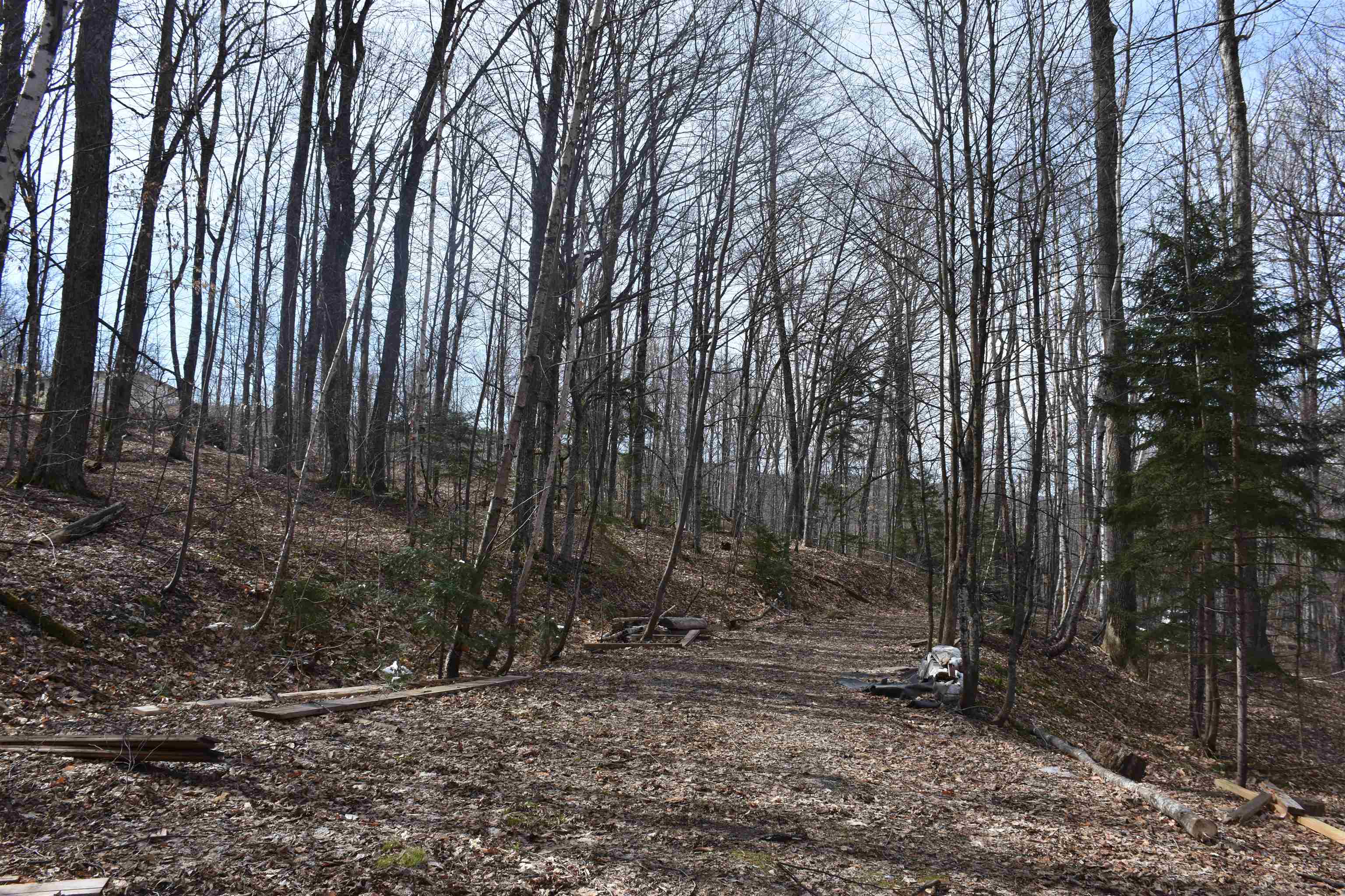 397 Winch Hill Extension Roxbury, VT 05663 - Photo 27 of 57