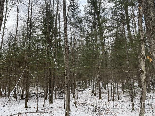 545 South Rd Skandia Mi 49885 Road Skandia, MI 49885 - Photo 27 of 38