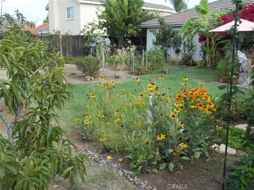 1647 Shire Avenue Oceanside, CA 92057 - Photo 3 of 15 a backyard of a house with lots of green space