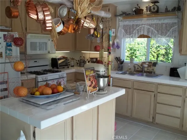 a kitchen with a sink and a potted plant