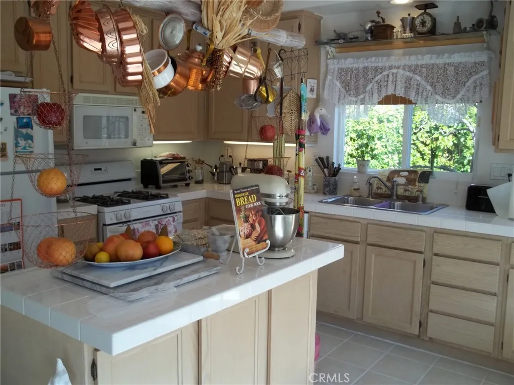 1647 Shire Avenue Oceanside, CA 92057 - Photo 8 of 15 a kitchen with a sink and a potted plant