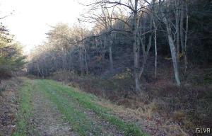 Hill Road, Unit 1 Lehighton, PA 18235 - Photo 5 of 6 Wooded