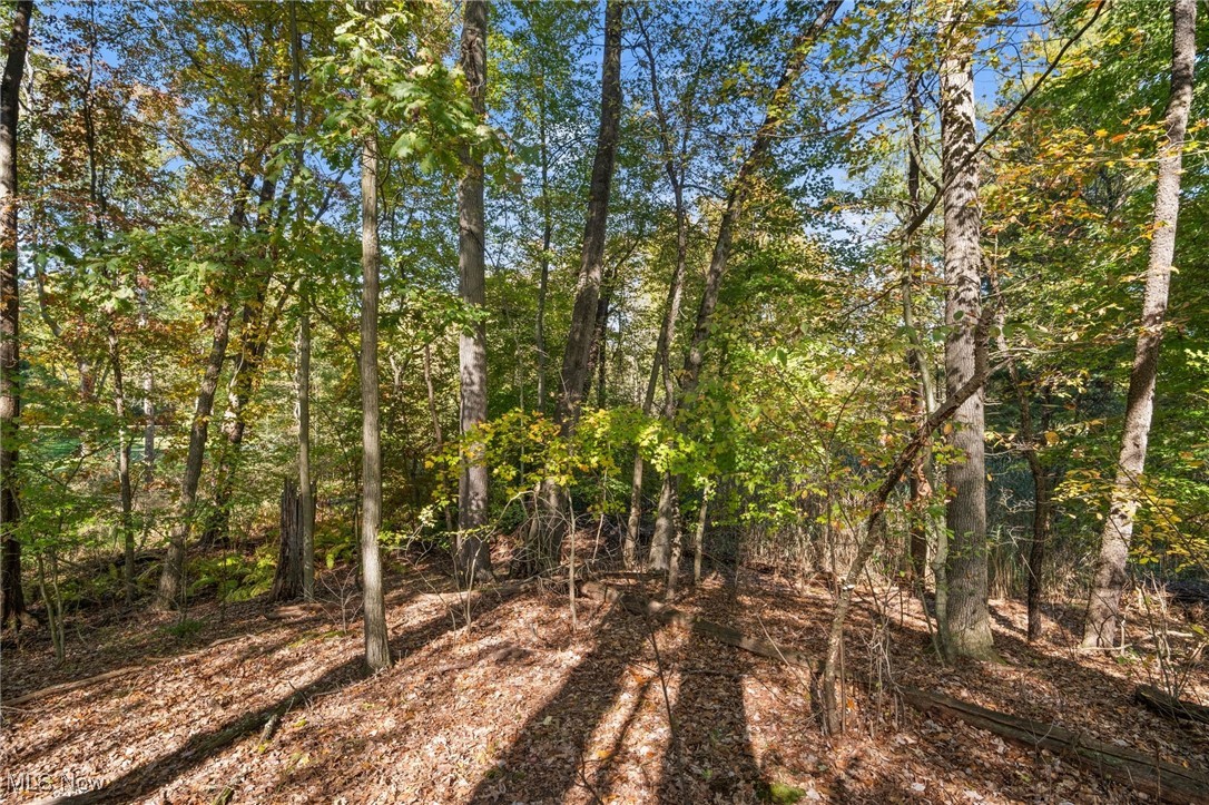 West Comet Road Clinton, OH 44216 - Photo 10 of 26 View of landscape