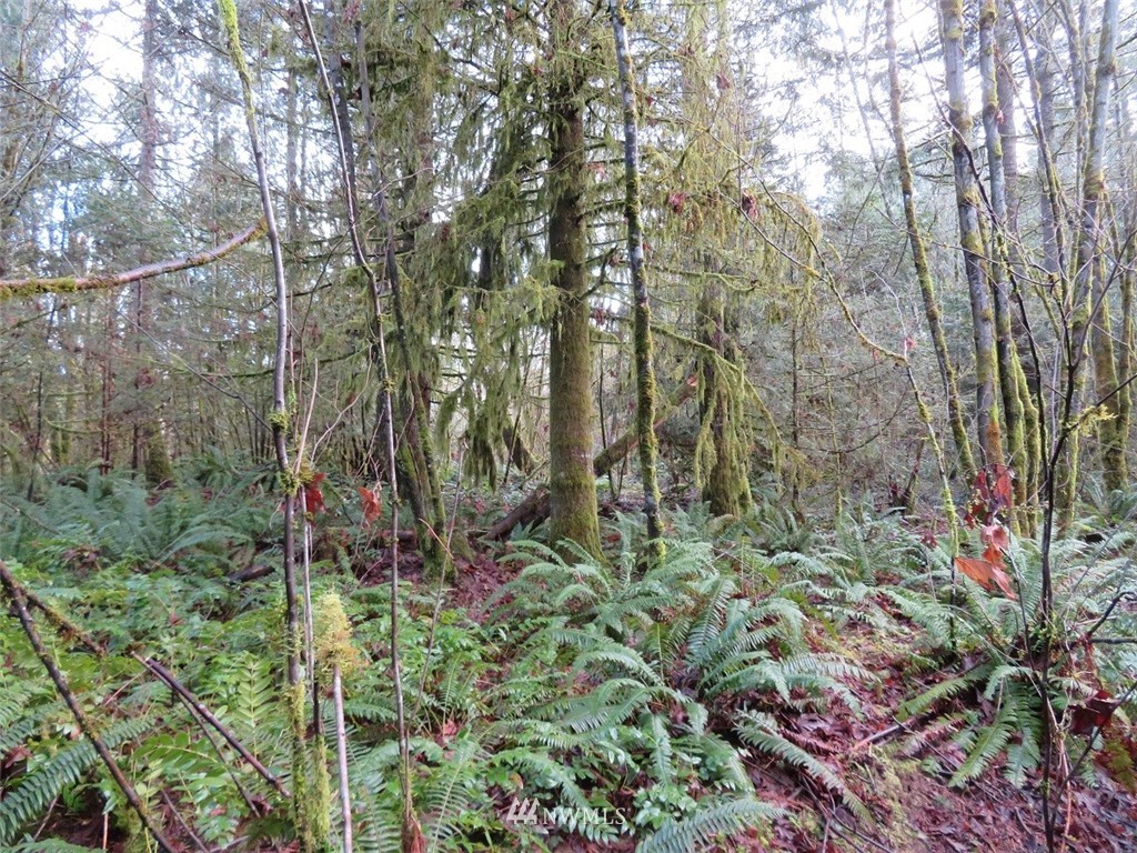 -xxx Xxx Pleasant Valley Road Chehalis, WA 98532 - Photo 22 of 29 Gallery Image 22