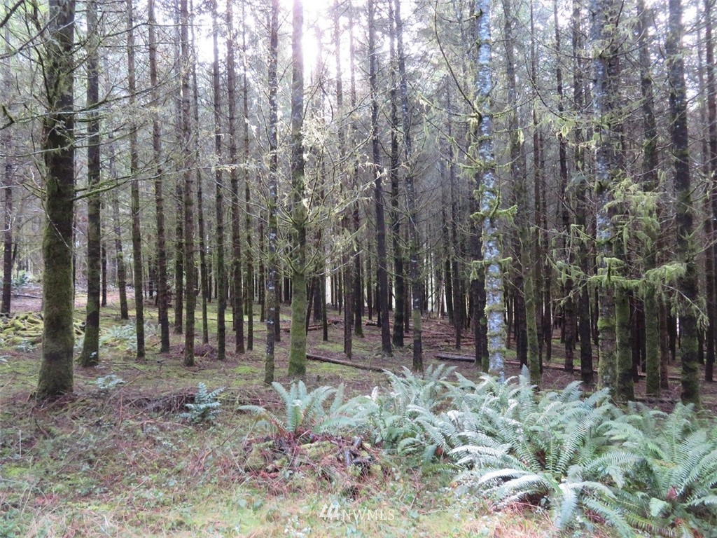 -xxx Xxx Pleasant Valley Road Chehalis, WA 98532 - Photo 8 of 29 Gallery Image 8