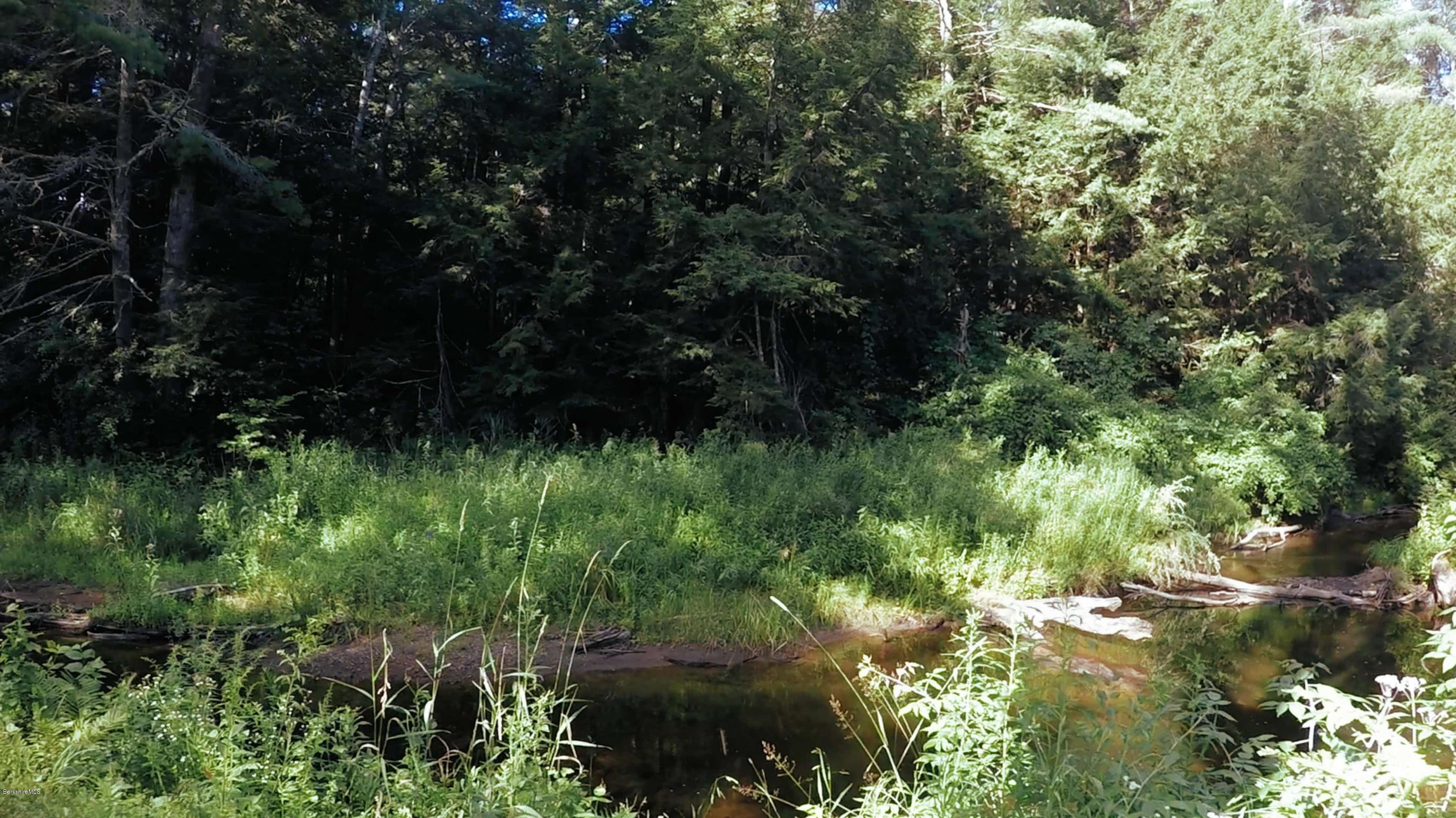 151 Gould Road Monterey, MA 01245 - Photo 4 of 51 Rawson Brook