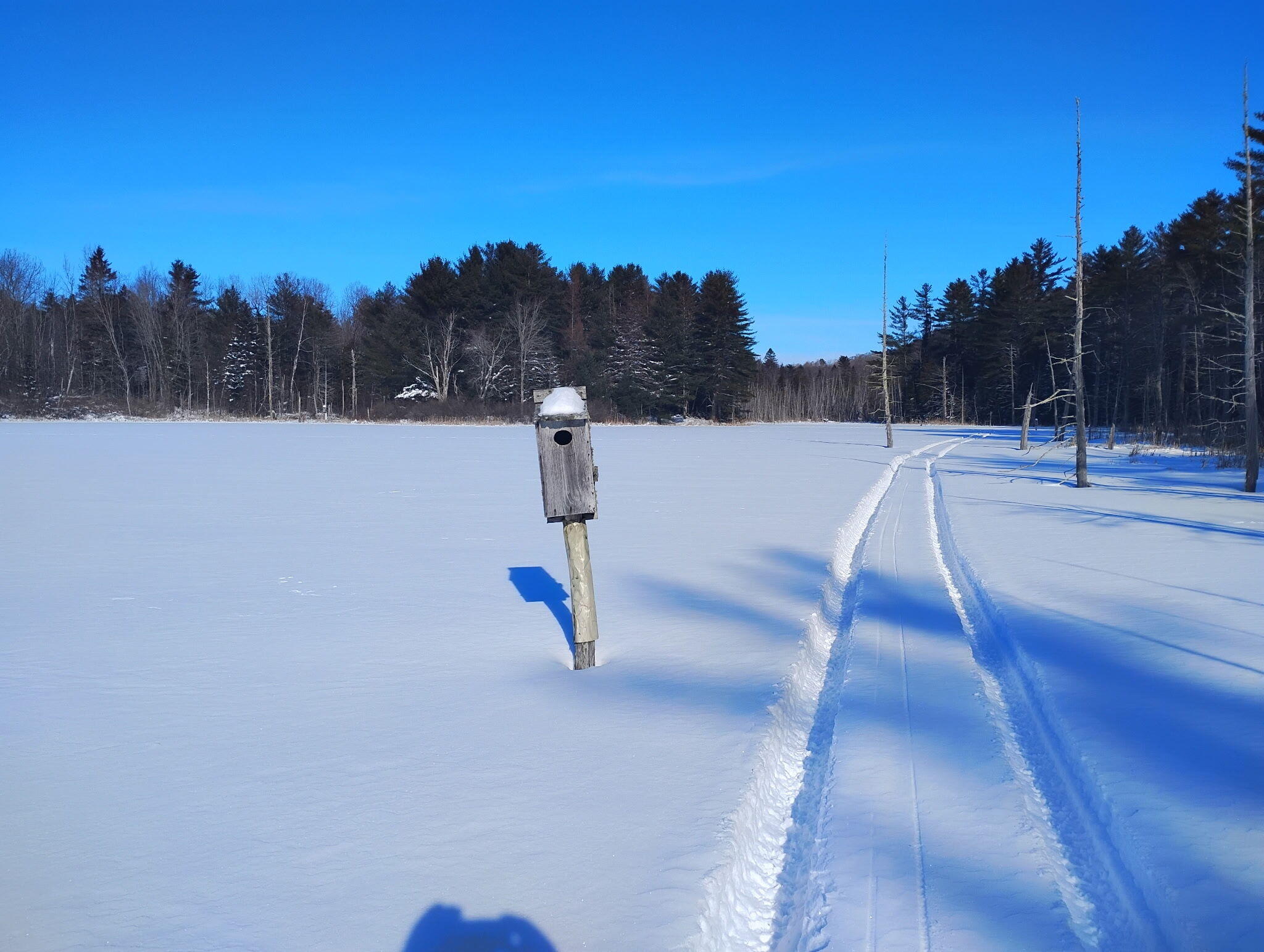 495 Dahlia Farm Road Monroe, ME 04951 - Photo 28 of 28 winter