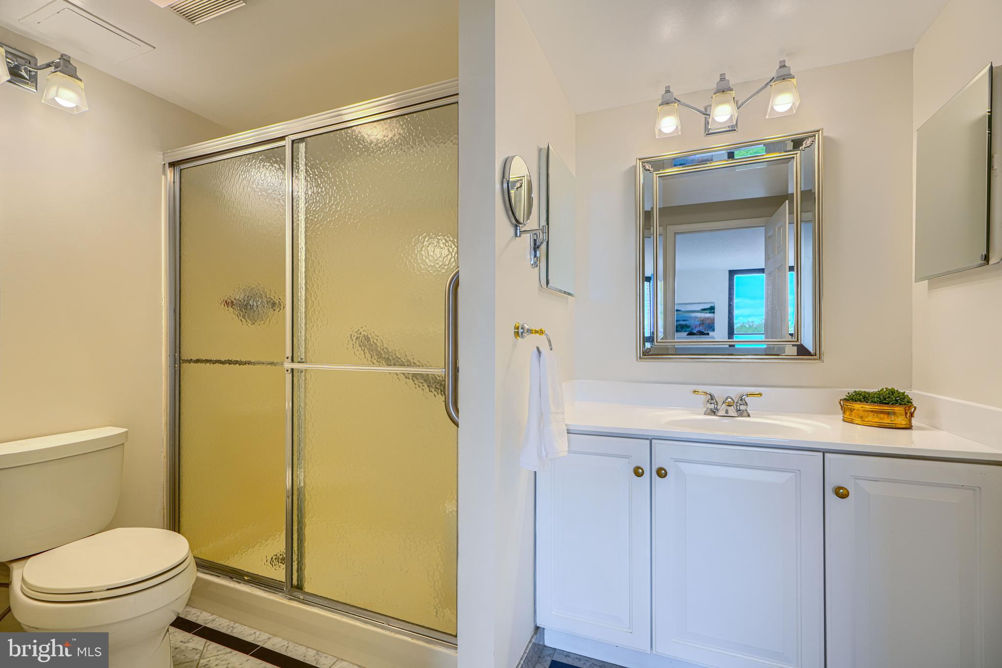 4100 North Charles Street, Unit 1010 Baltimore, MD 21218 - Photo 52 of 73 Primary ensuite bath