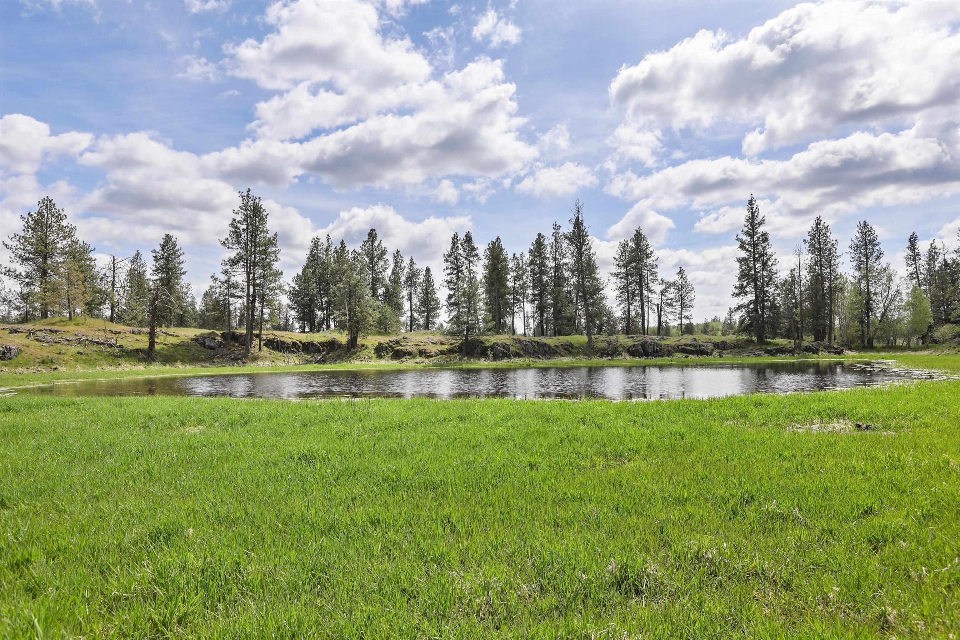 Nka South Malloy Prairie Road, Unit PARCEL E 03032 9052 Cheney, WA 99004 - Photo 5 of 8