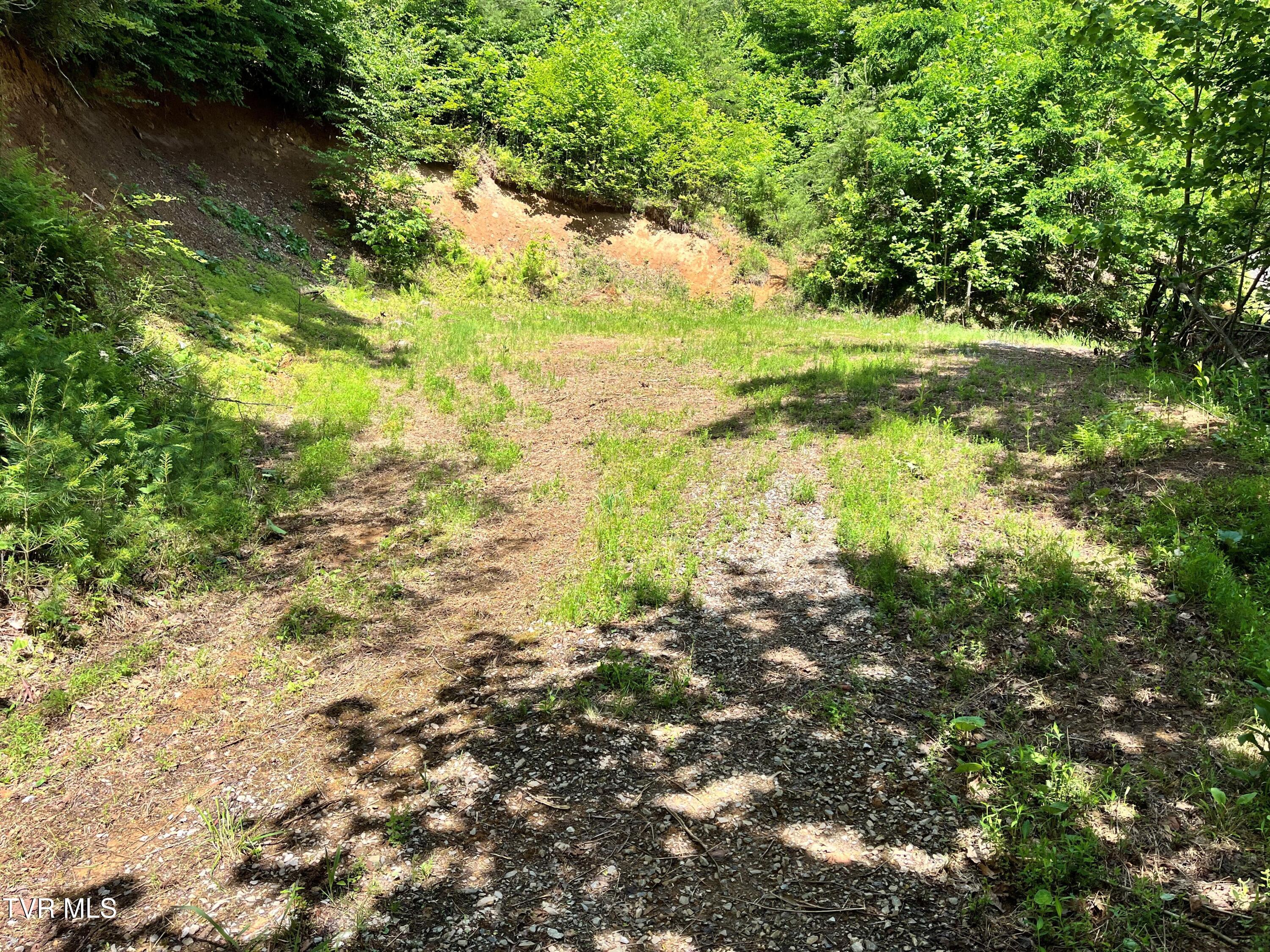Tr1 Smith Hollow Road, Unit 1 3 3A 4 Butler, TN 37640 - Photo 16 of 37 jh13
