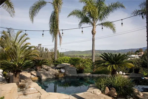 a view of a backyard with plants and a patio