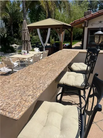 a view of a backyard with plants and large trees