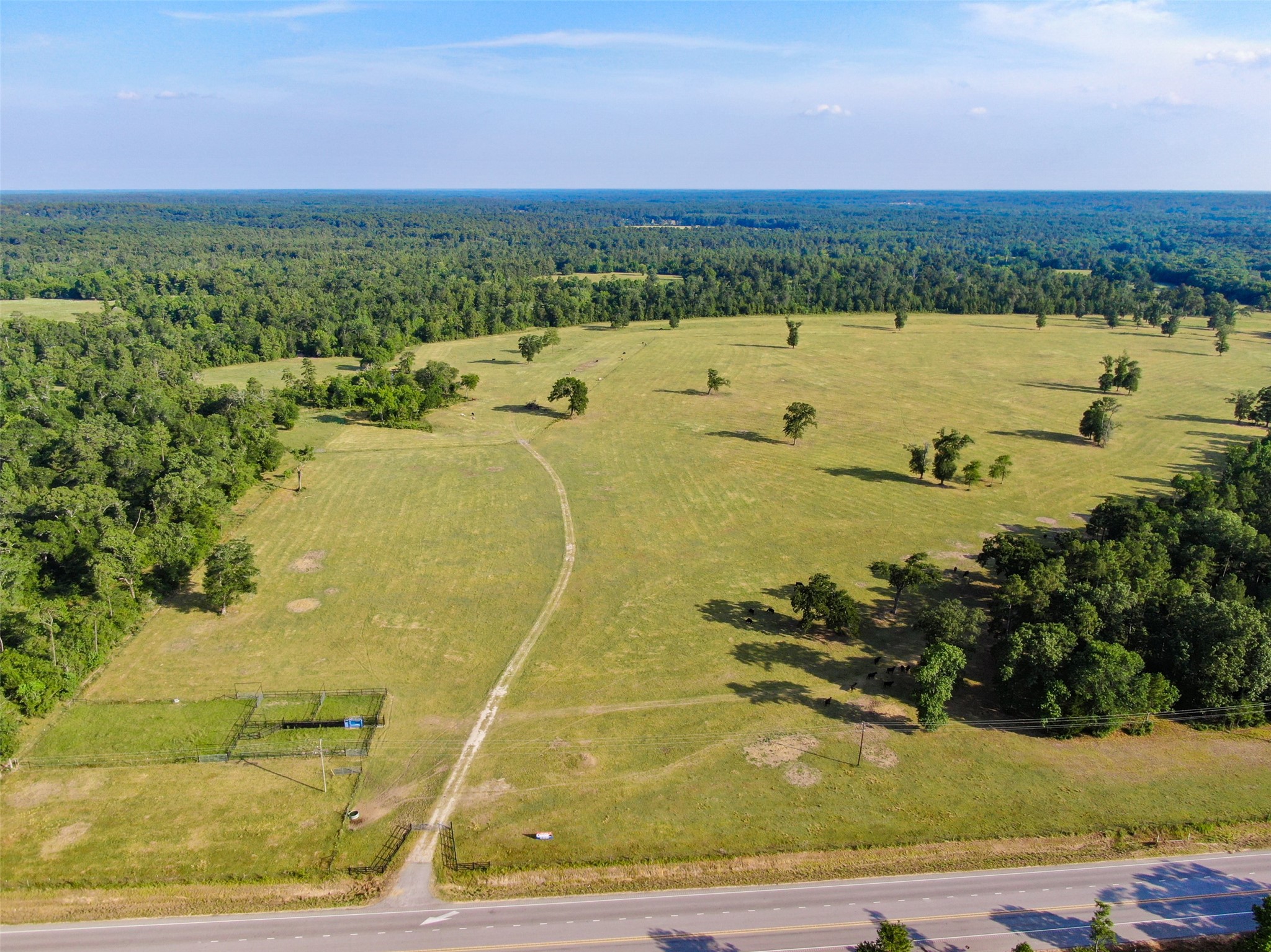 6600 State Highway West Coldspring, TX 77331 - Photo 2 of 6