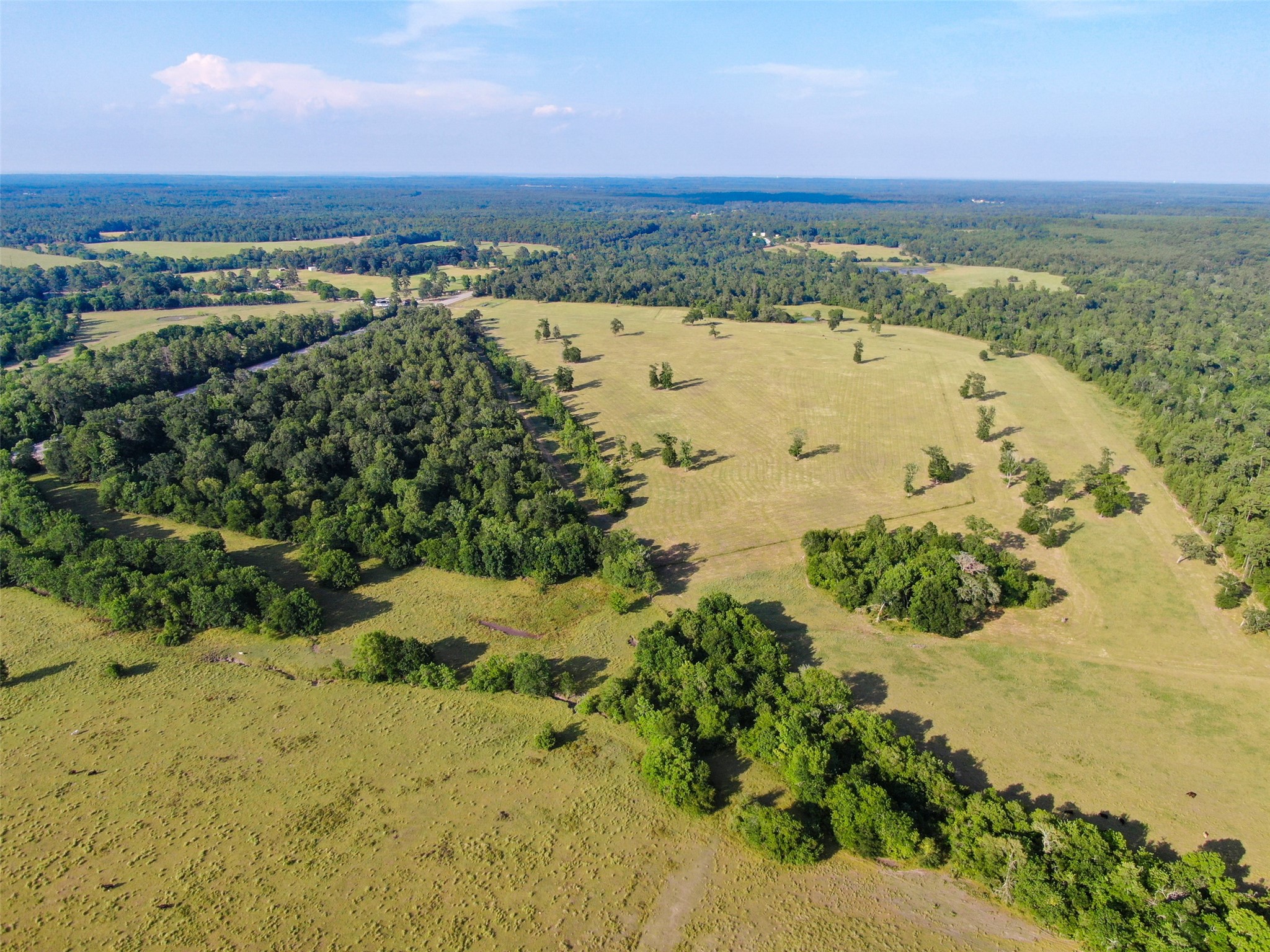 6600 State Highway West Coldspring, TX 77331 - Photo 3 of 6