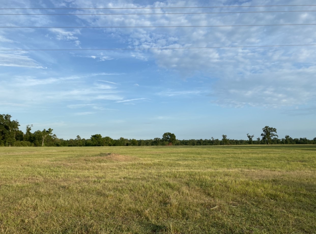 6600 State Highway West Coldspring, TX 77331 - Photo 4 of 6