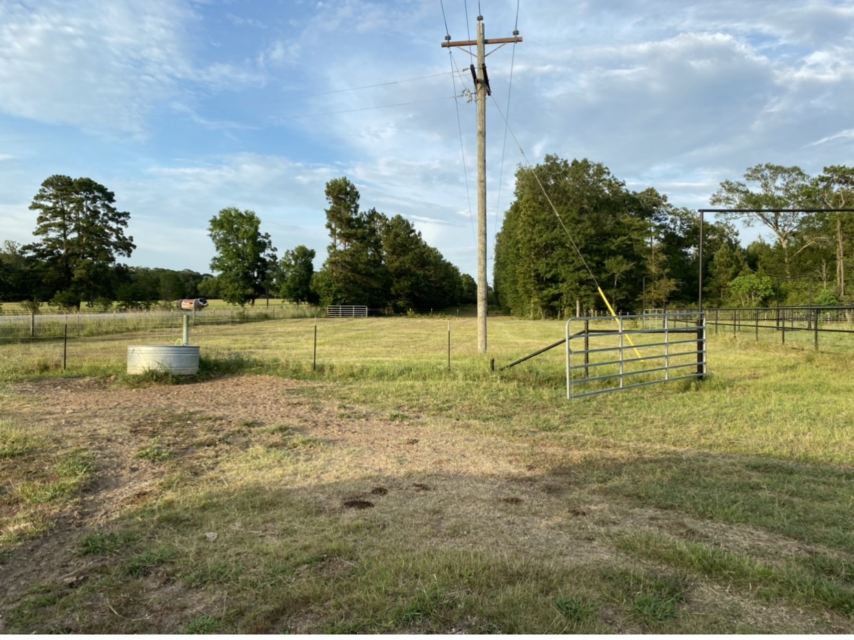 6600 State Highway West Coldspring, TX 77331 - Photo 5 of 6