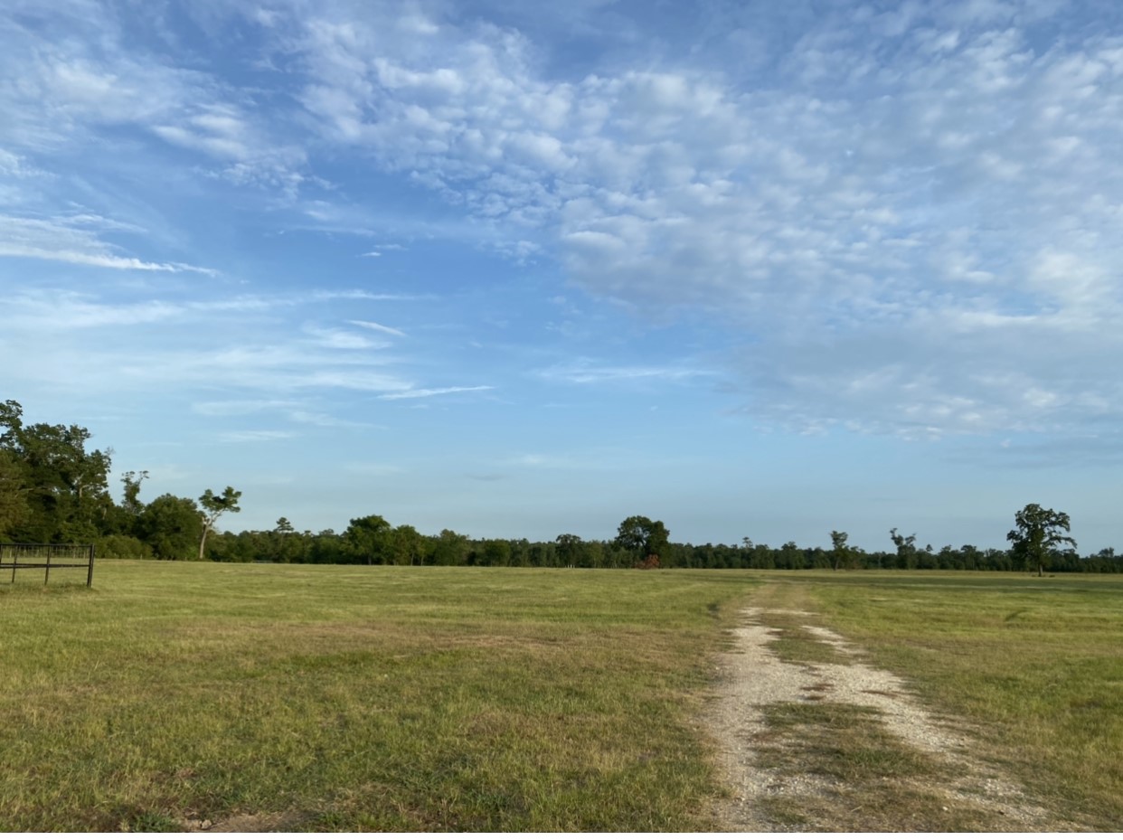 6600 State Highway West Coldspring, TX 77331 - Photo 6 of 6