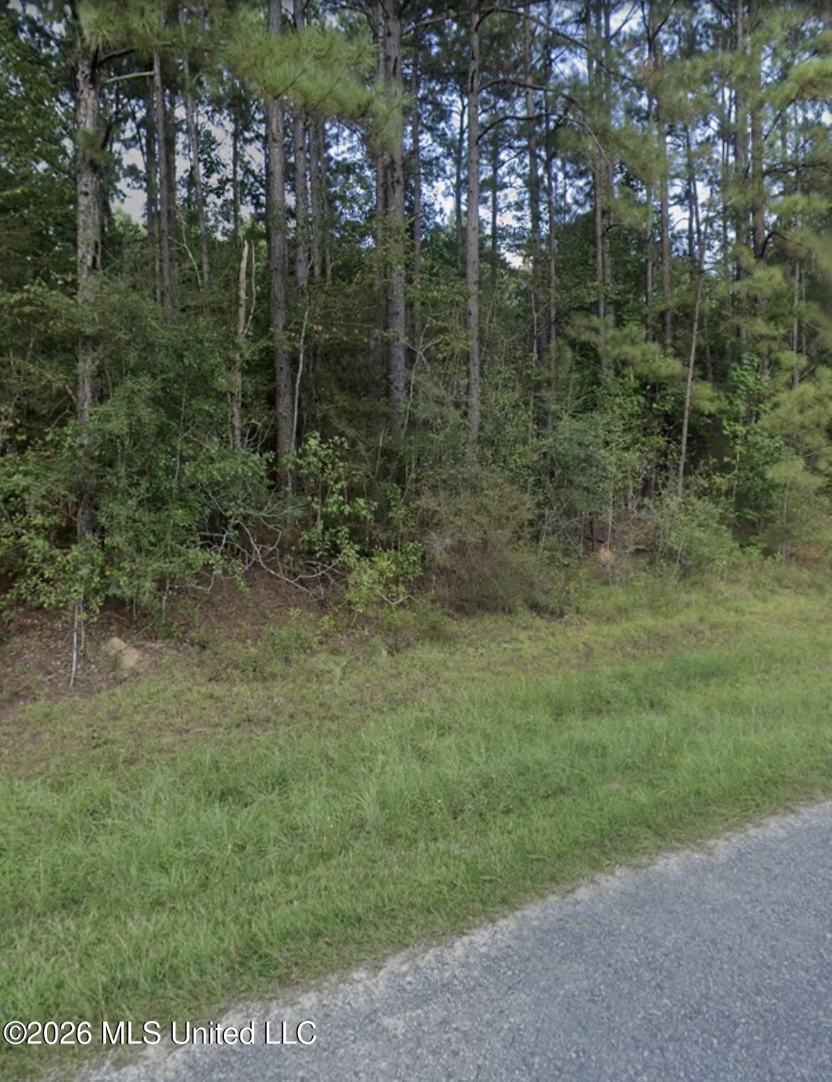 996 Hickory Grove Road Lumberton, MS 39455 - Photo 4 of 5 IMG_2200