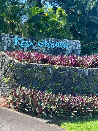 a street with a bunch of flowers