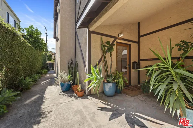 a view of a potted plants next to a road