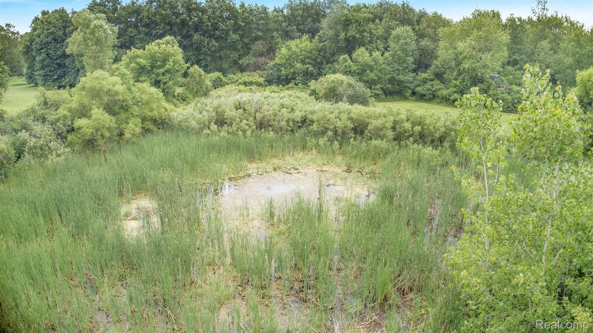 2030 34 Mile Road Romeo, MI 48065 - Photo 39 of 44 Back of the property.jpg