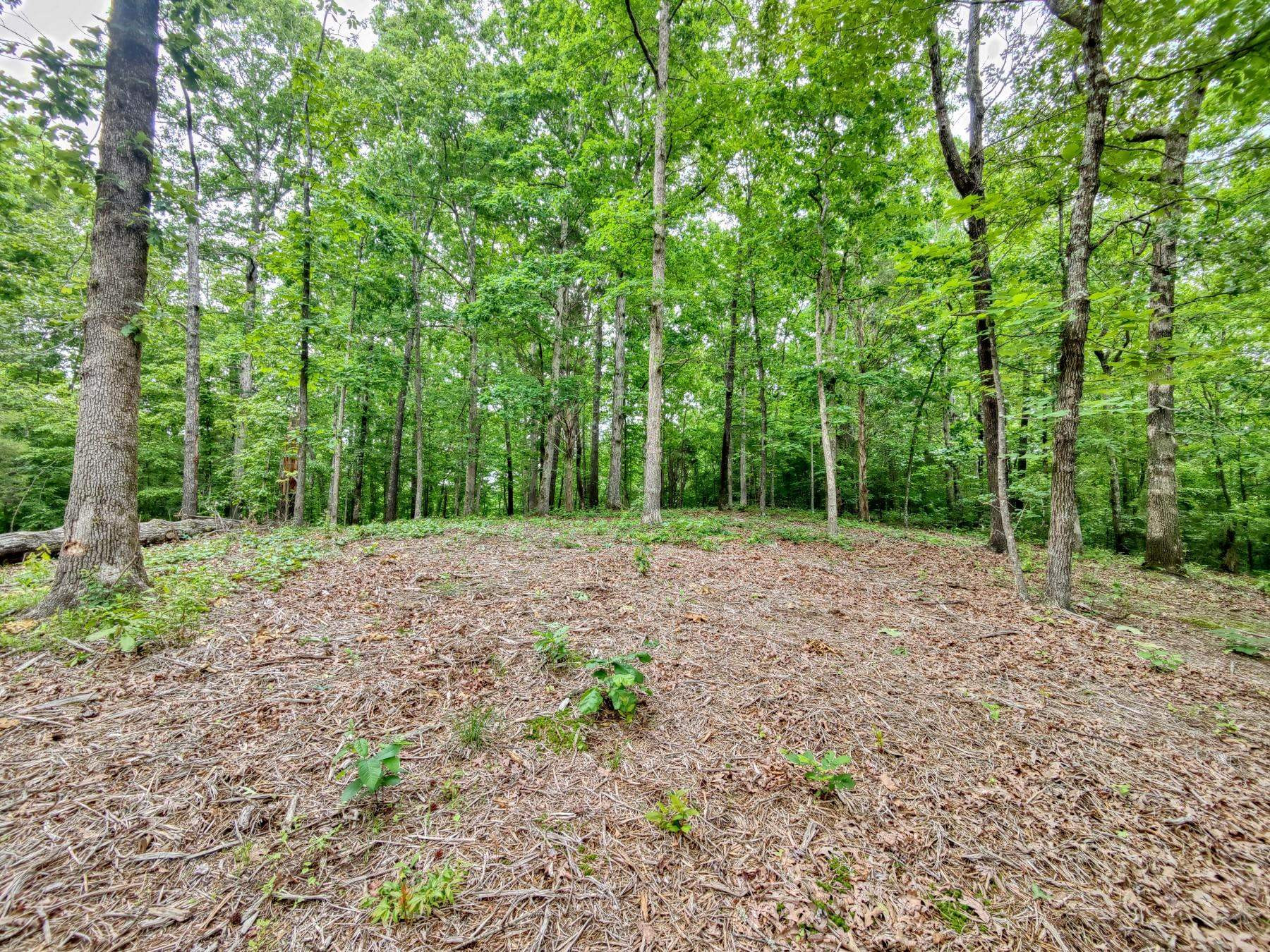 468 Hartley Road Camden, TN 38320 - Photo 4 of 8 Photo 6