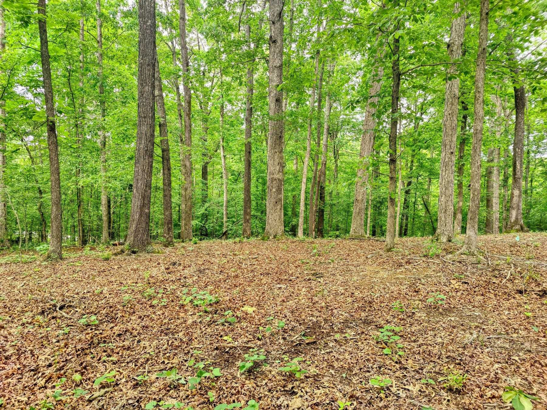 468 Hartley Road Camden, TN 38320 - Photo 5 of 8 Photo 7