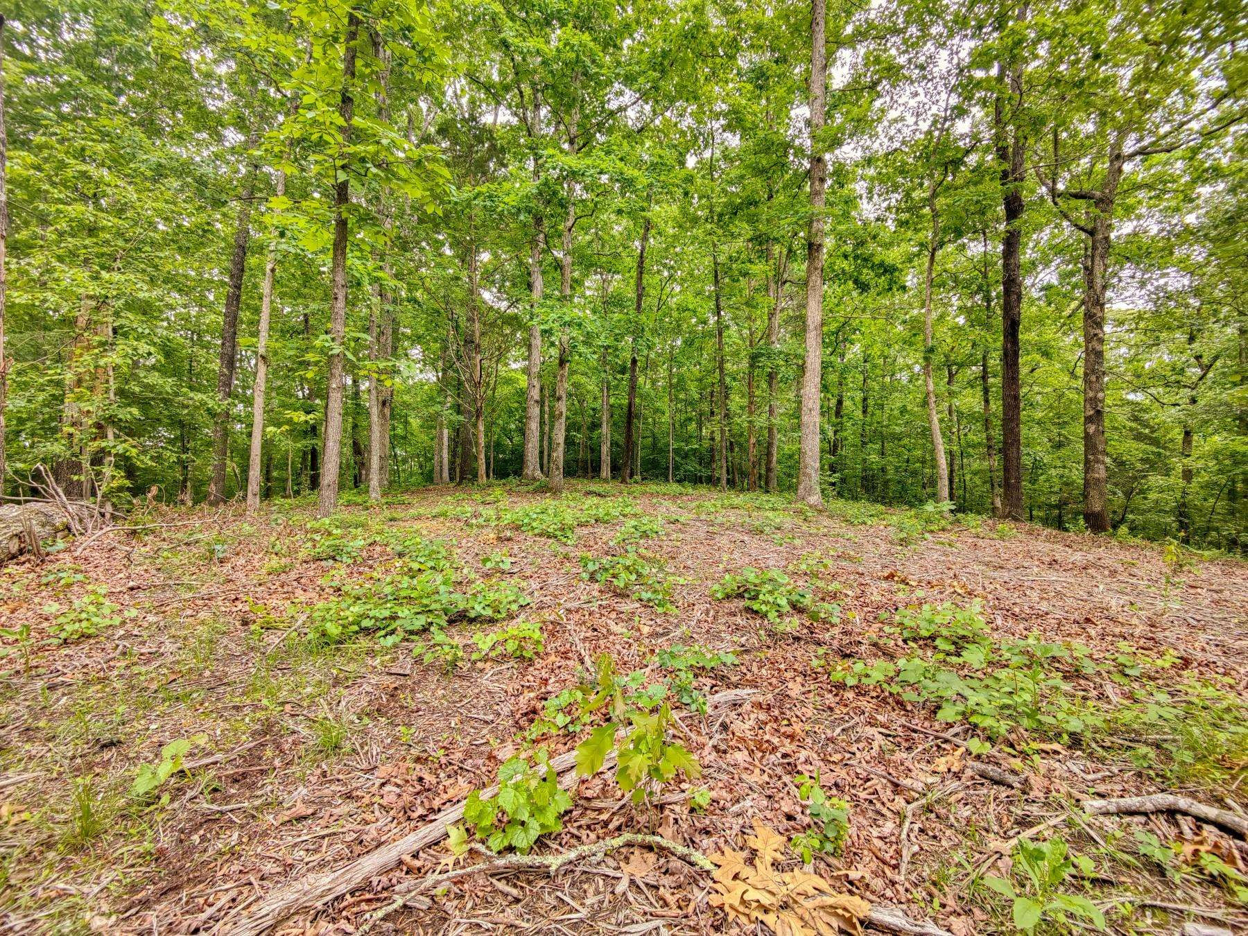 468 Hartley Road Camden, TN 38320 - Photo 7 of 8 Photo 9