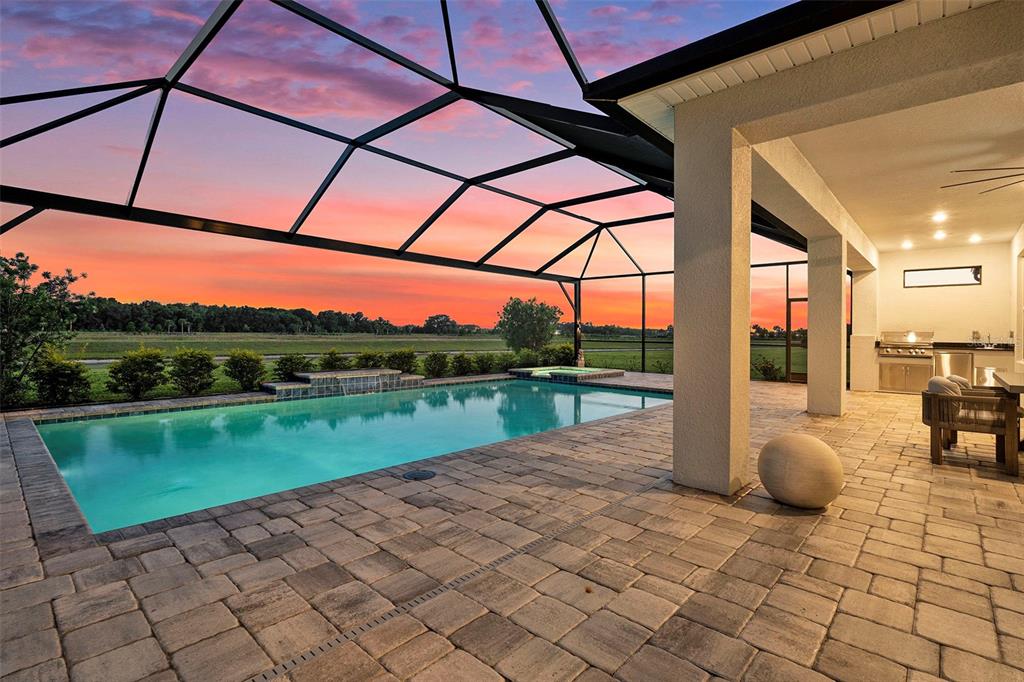 33774 Castaway Loop Wesley Chapel, FL 33543 - Photo 70 of 87