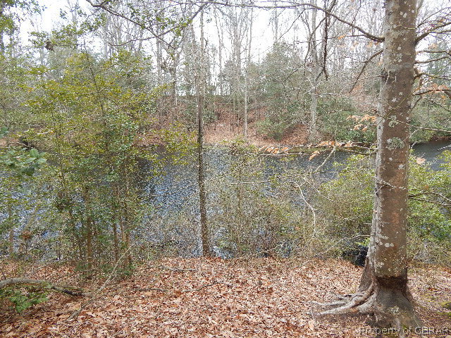 0 Waterfence Road Shacklefords, VA 23156 - Photo 5 of 10 Gallery Image 5