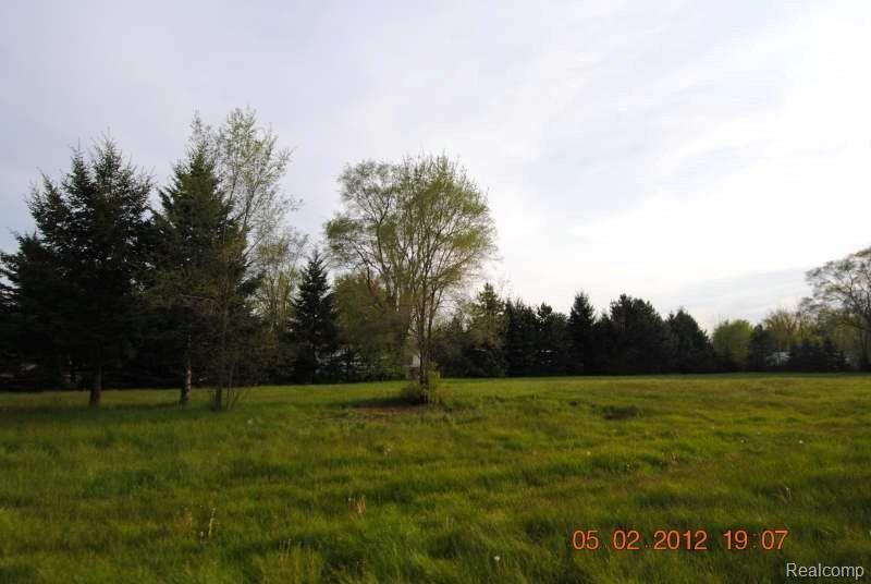 6360 Bunton Road Ypsilanti, MI 48197 - Photo 17 of 21 Back Yard View.JPG